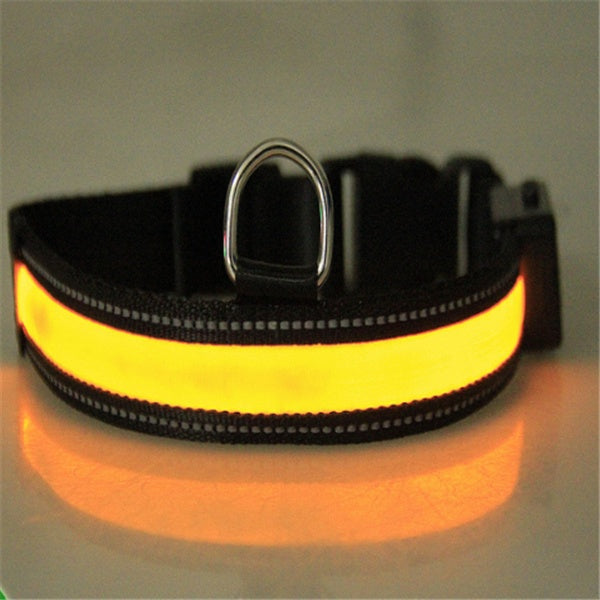 Fluorescent Dog Collar For Nighttime Visibility