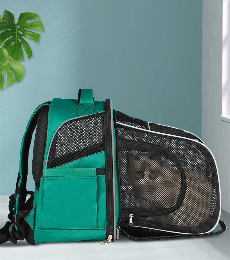 Large Capacity Space Capsule Pet Backpack For Outdoor Travel