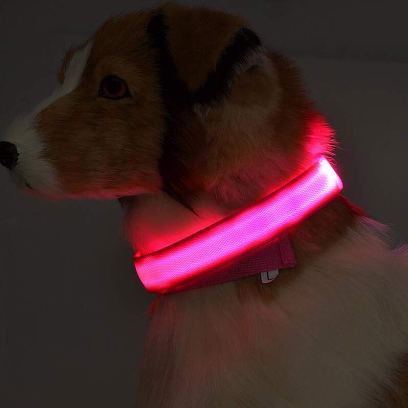 Nylon LED Luminous Pet Collar For Night Safety