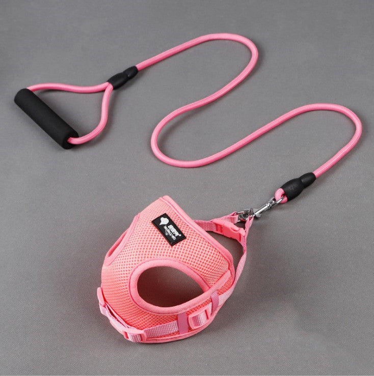 Durable Dog Leash And Collar Set For Daily Walks