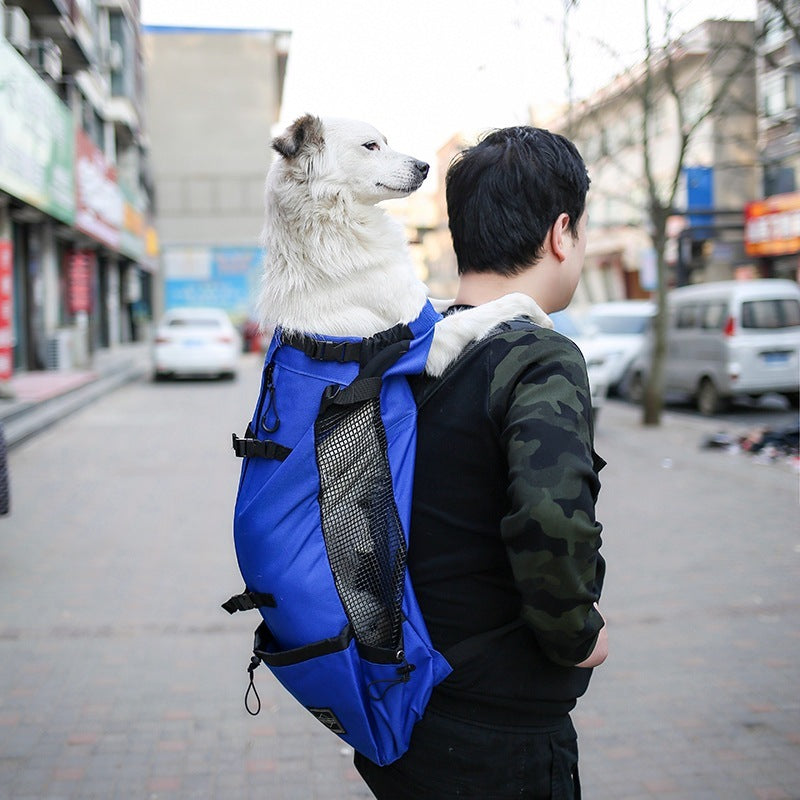Double Shoulder Pet Carrier Backpack For Comfortable Travel