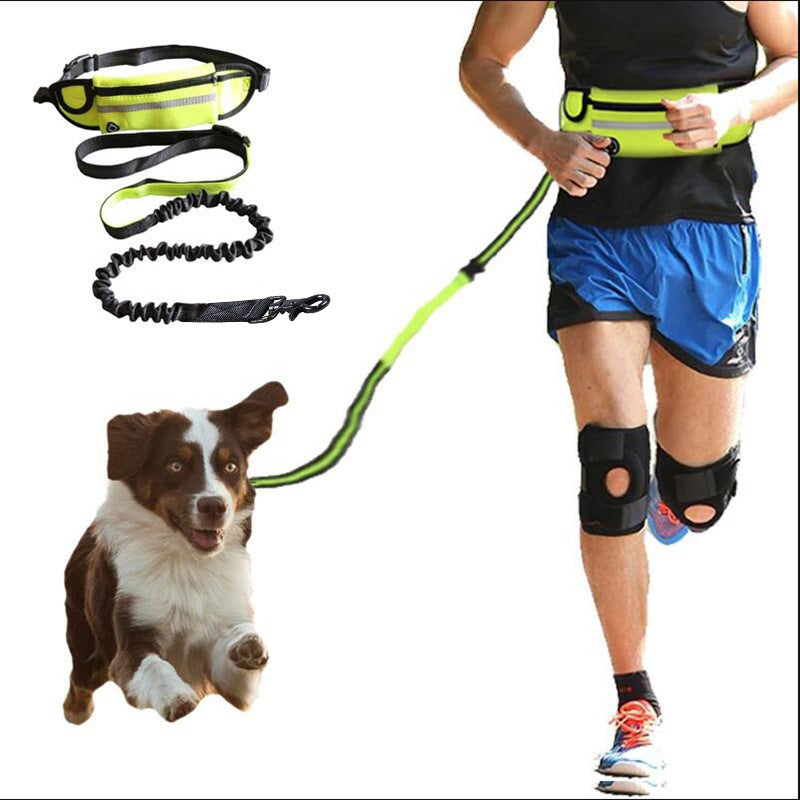 Hands Free Dog Leash With Bungee And Storage Pockets