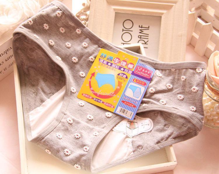 Floral Daisy Delight Hipster Panty-Gray-Theone Apparel