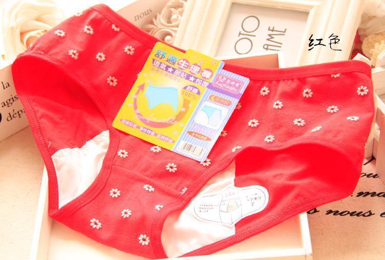 Floral Daisy Delight Hipster Panty-Red-Theone Apparel