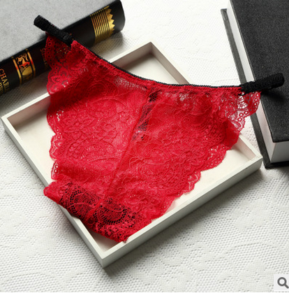 Full Coverage Brief Style Lace Underwear-Red-Theone Apparel