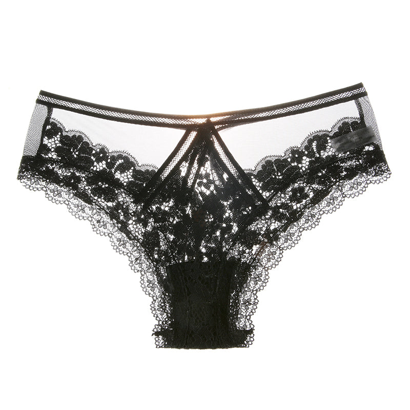 Mesh and Lace Transparent Low Rise Briefs-Black-Theone Apparel