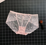 See Through Lace Panties with Low Waisted Design